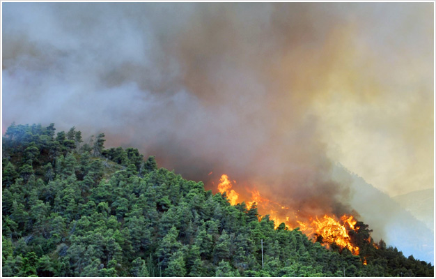 Hydrorehabilitacja lasów po pożarze